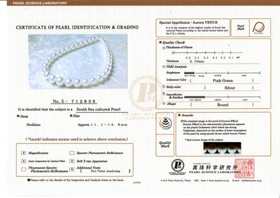 11-14mm White South Sea Pearl Necklace - Gem Quality - Model Image