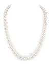 8.0-8.5mm White Freshwater Pearl Necklace - AAA Quality