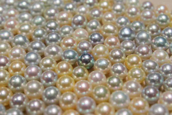 The Wide World of Pearls, 10th Issue - How to Buy Akoya Pearls