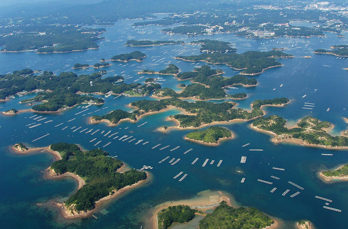 The Wide World of Pearls, Our 124th Issue: Where Do Akoya Pearls Come From?