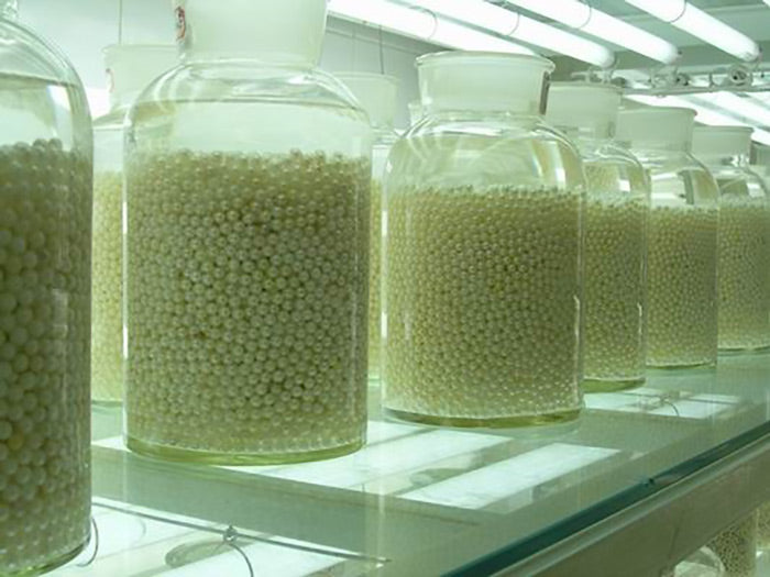 The Wide World of Pearls, Our 100th Issue: Have my Akoya Pearls had any Kind of Treatments?