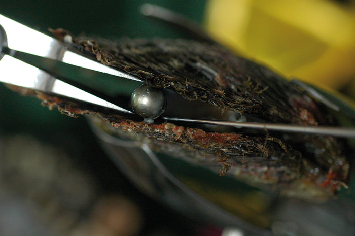 The Wide World of Pearls, Our 102nd Issue: What's the Difference Between Real Pearls and Cultured Pearls?