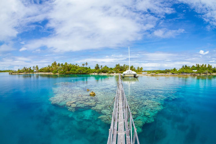 The Wide World of Pearls, Our 125th Issue: Behind the Scenes of Tahitian Pearl Farming