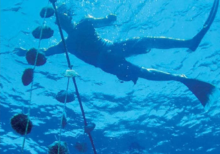 The Wide World of Pearls, Our 57th Issue: Pearls Around the World