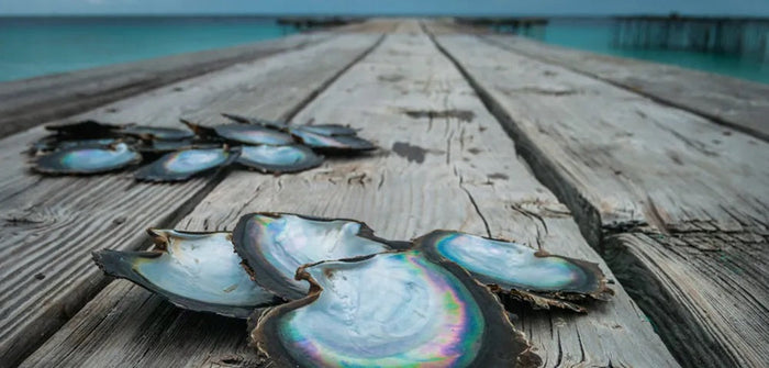The Wide World of Pearls, Our 112th Issue: What Are The Differences Between Freshwater and Saltwater Pearls?