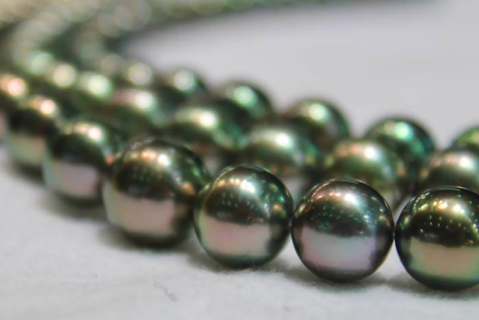 The Wide World of Pearls, 11th Issue - Know Your Tahitians!