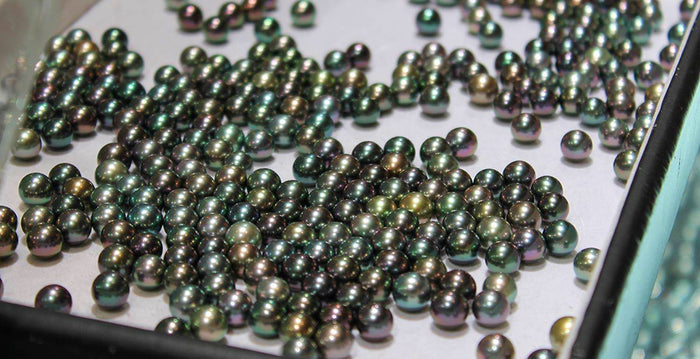 The Wide World of Pearls, Our 51st Issue: Tantalizing Tahitians