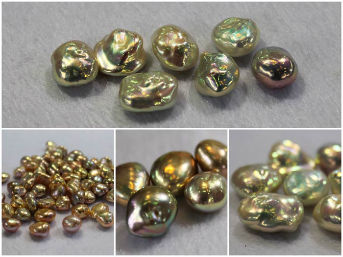 March 2014 Hong Kong Pearl Show - This one's gonna be good!