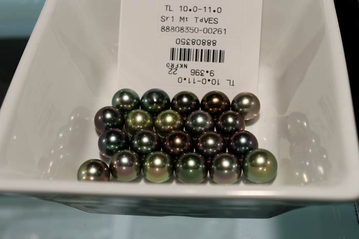 June 2016 Pearl Buying Trip [Part 2]