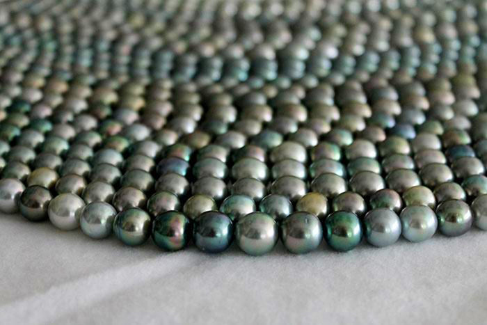 The Wide World of Pearls, Our 27th Issue: Thursday, February 18th