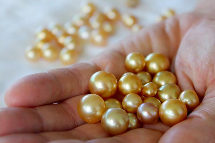 The Wide World of Pearls, Our 75th Issue: Happy New Year! A Look at Pearl Farming and Sustainability in 2023
