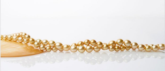 A Touch of Gold- The Allure of Golden South Sea Pearls