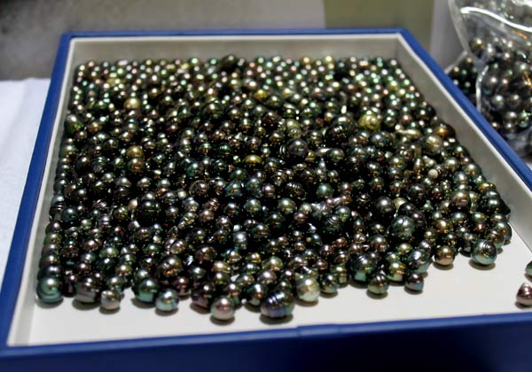 Tahitian Pearls - 3 Things You MUST Know