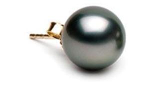 Tahitian Pearl Earrings