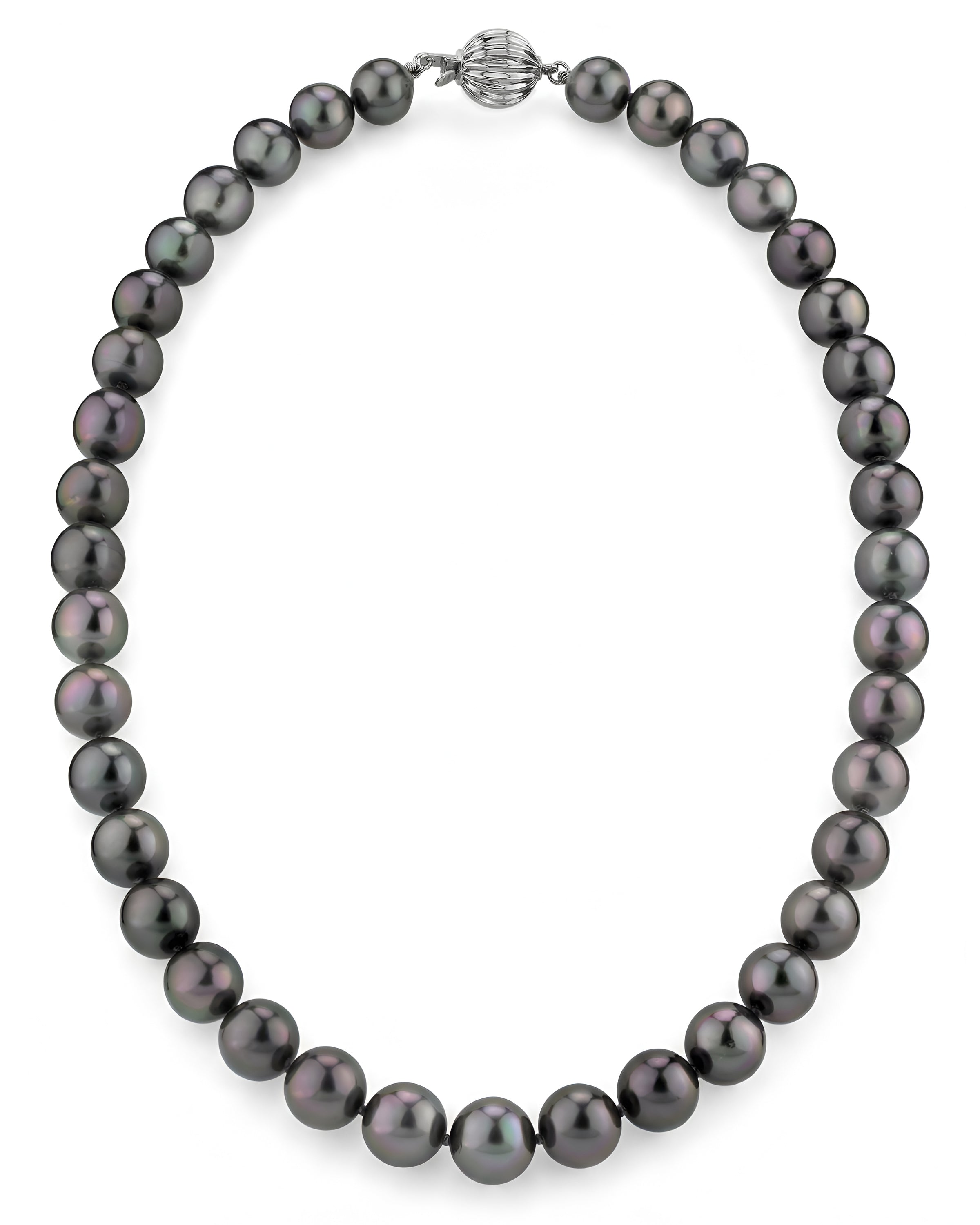 Aubergine 